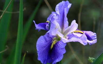 Mother’s Day Prayer