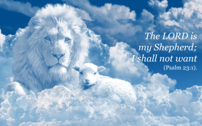 Praying our Grandchildren Know the Good Shepherd